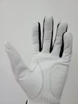 CEND Golf Men's Leather Glove (Cabretta Leather 02)